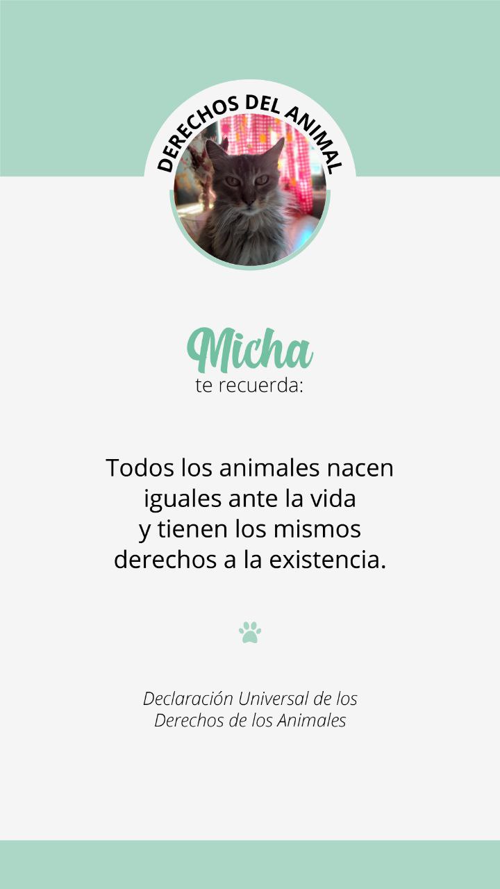 Derechos del animal 2